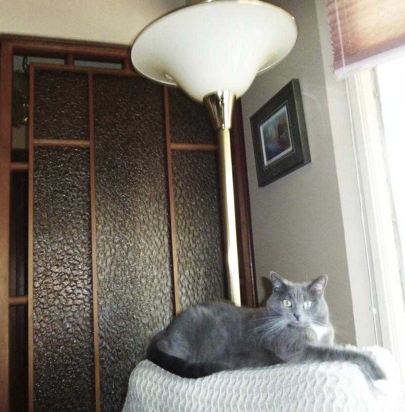 <p>Laurie Mustard / Winnipeg Free Press</p><p>A lamp turning on after being bumped by a clumsy cat may seem like a fluke, but in this house the explanation may be more supernatural.</p>