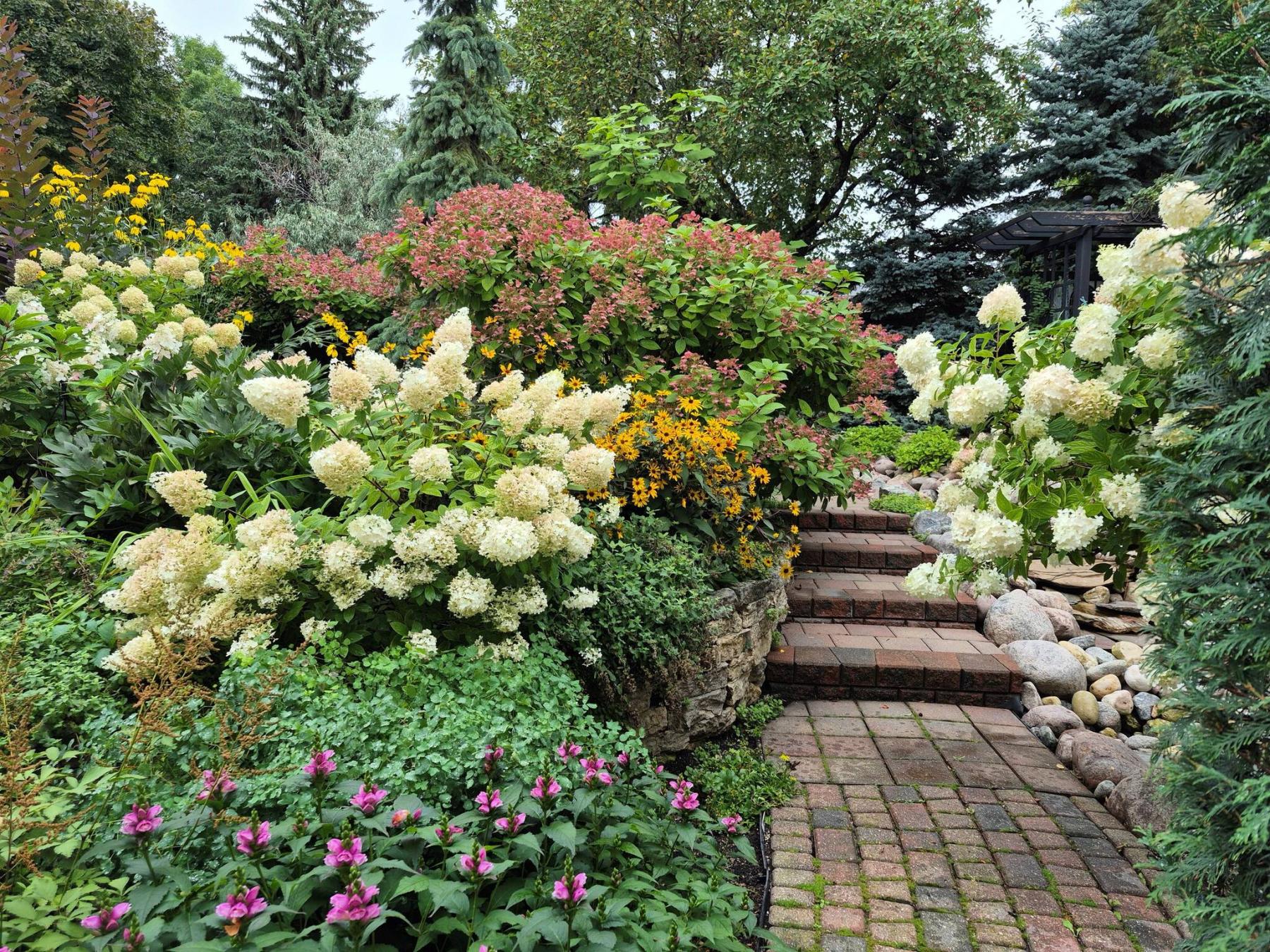  <p>Colleen Zacharias photo</p>
                                <p>If your garden looks like a jungle, some serious editing may be needed.</p> 