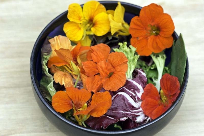 <p>West Coast Seeds</p><p>Mmmm... pretty, peppery nasturtium petals decorate this salad.</p>