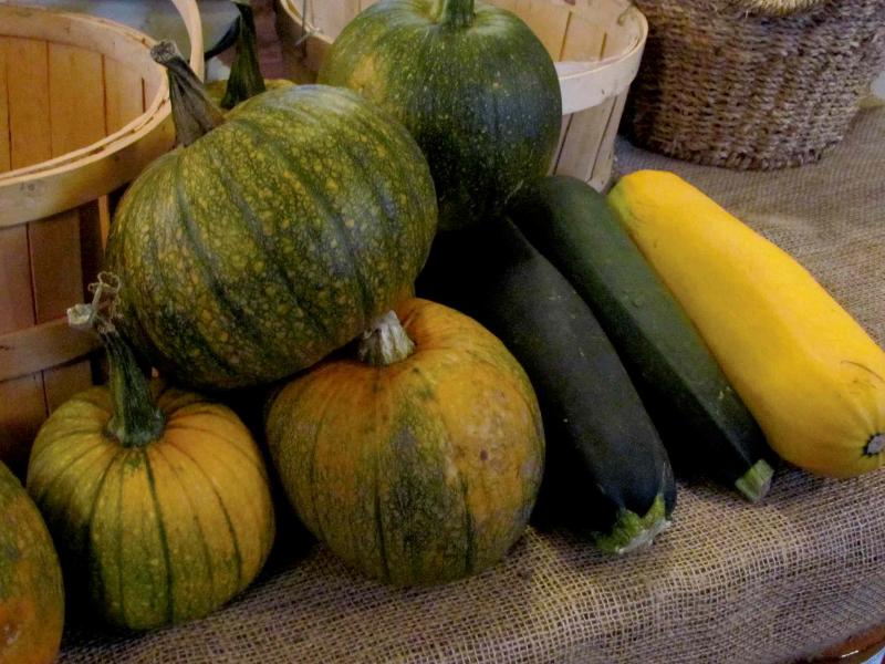 Colleen Zacharias 
This assortment of sugar pumpkins at Red River General Store are an excellent choice for pies and soups.  For something completely different, try making pumpkin butter or pumpkin pie fruit leather.  One sugar pumpkin should provide about 425 grams of puree.