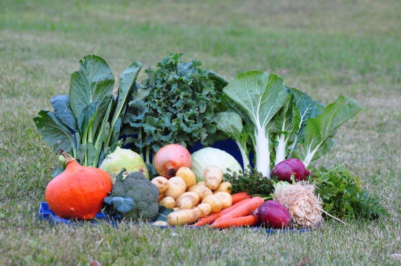<p>Wild Earth Farms</p><p>Why not sign up for a CSA share and enjoy farm-fresh produce all summer long.</p>