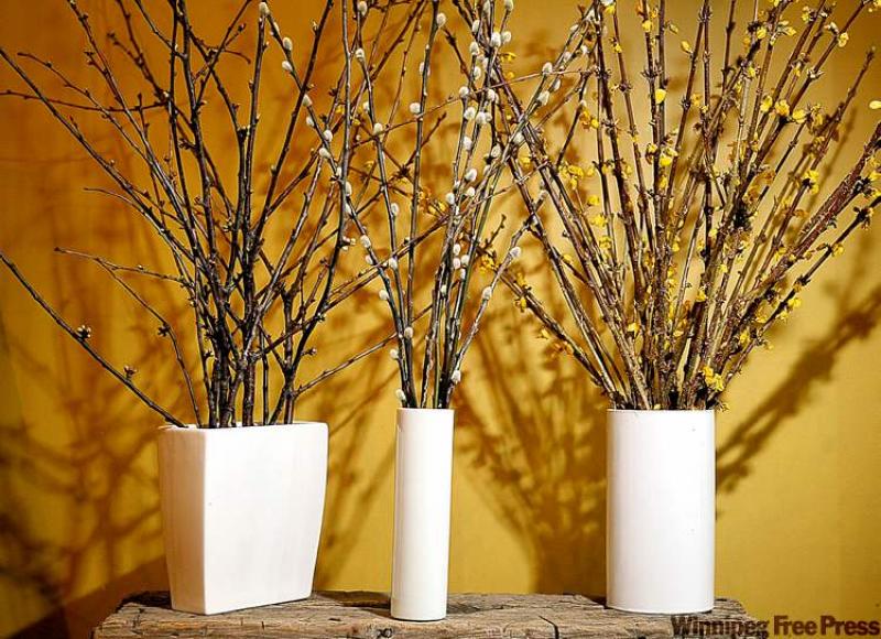 Spring sprigs. 