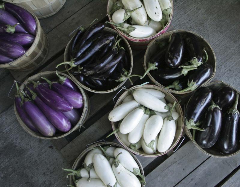 <p>Phil Carpenter / Montreal Gazette files</p><p>Eggplants can be used in a variety of recipes, but should be cooked before eating.</p>