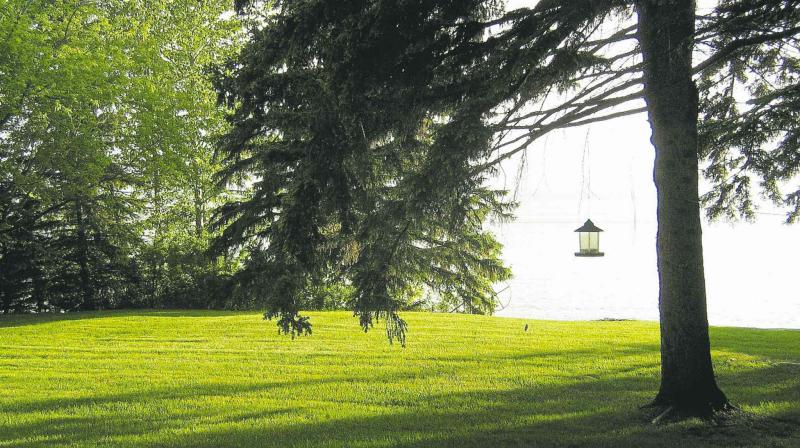 UPLOADED BY: Chris  Standring ::: EMAIL: cstandring@edmontonjournal.com ::: PHONE: 780 481-6790 ::: CREDIT: Chris Standring ::: CAPTION: Pigeon Lake, June 12, 2013, Stasia Nawrocki's Cottage -- Sprawling lawns slope down to the lake, provide lots of space for games with the grandchildren. (Picture by Chris Standring)