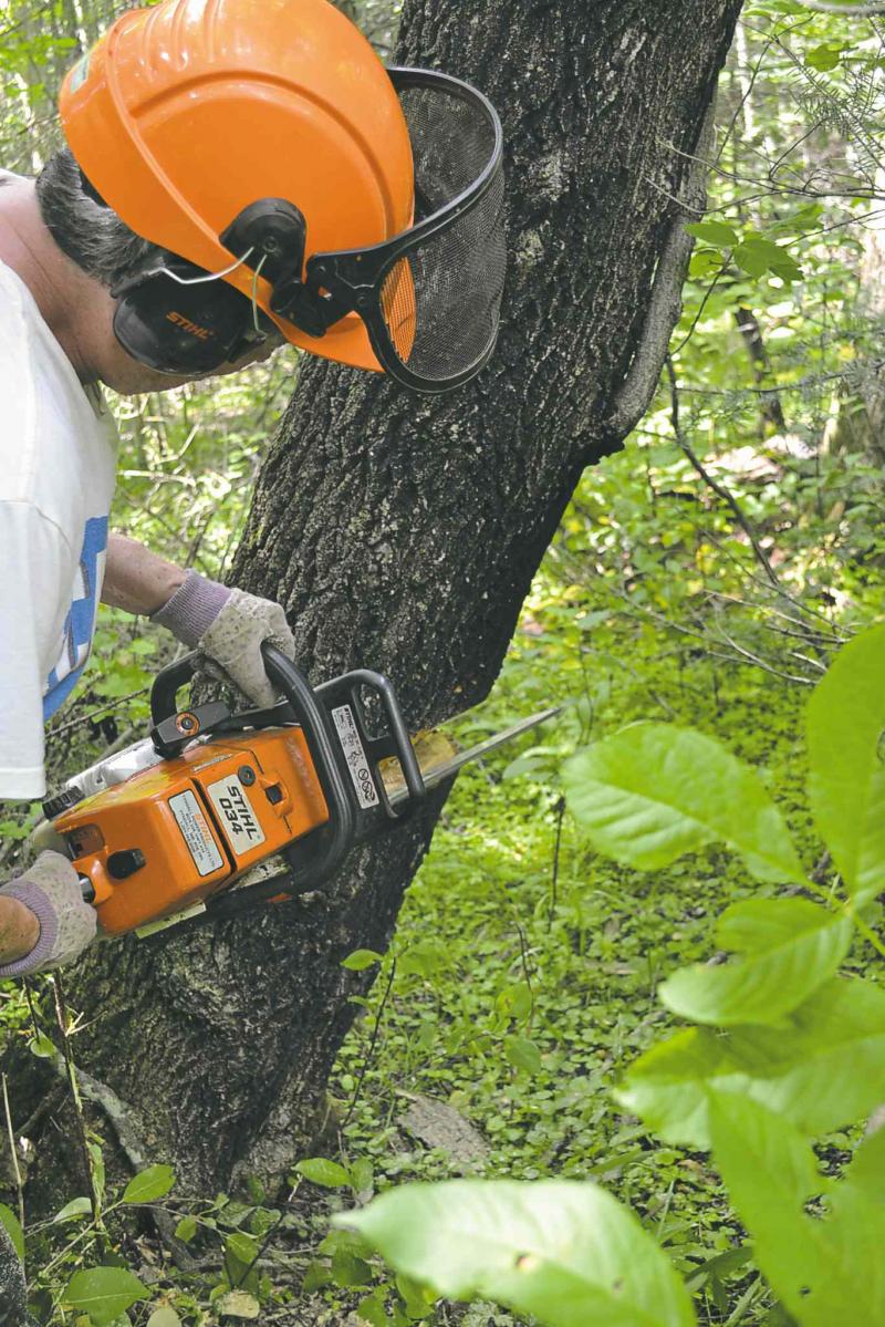 Cutting the notch from the side of the tree in the direction you want it to fall is a standard tree cutting technique.
