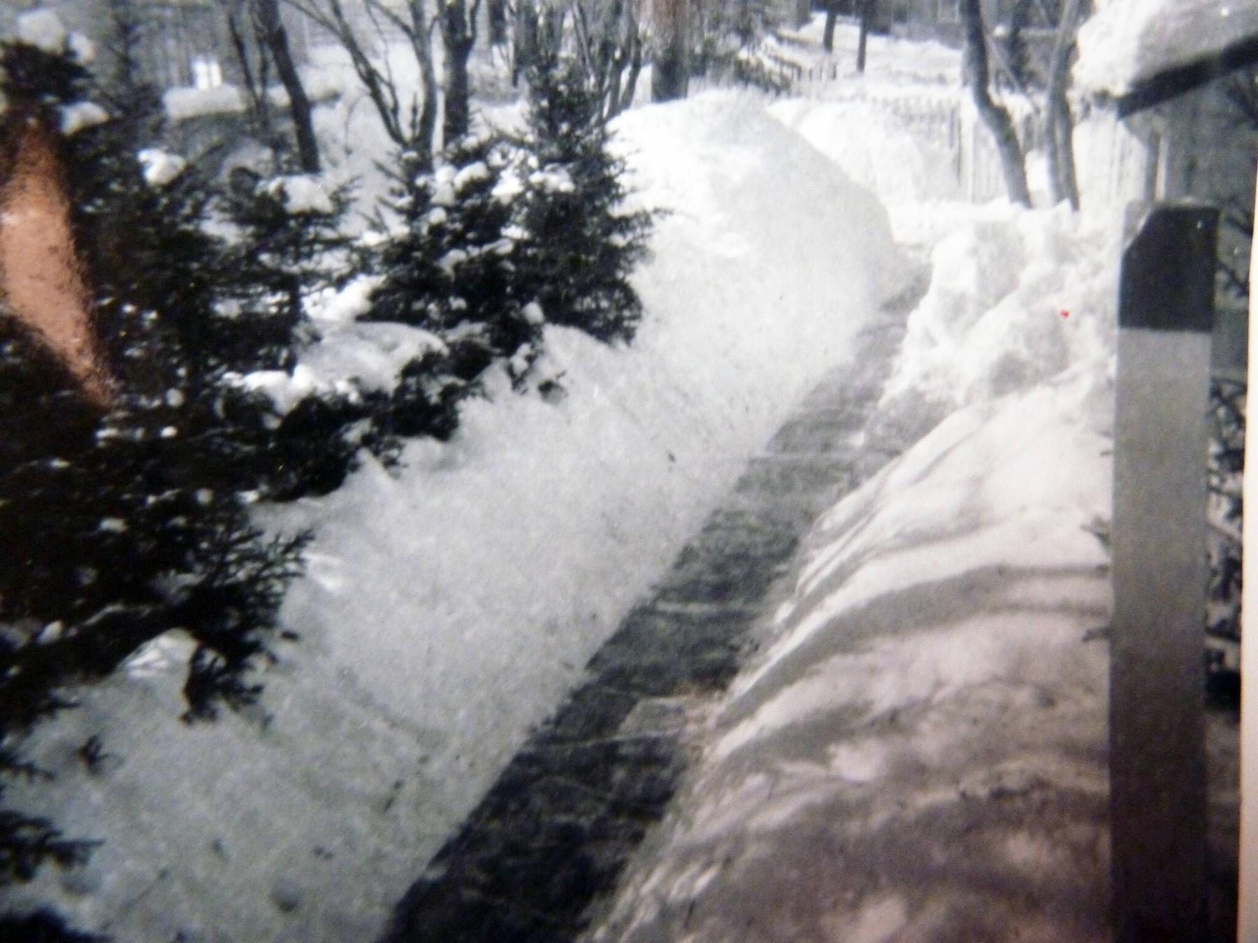 <p>Laurie Mustard / Winnipeg Free Press Mustard spent most of the 1960s shovelling this sidewalk, because back then a snowblower was a rich man&rsquo;s toy.</p>