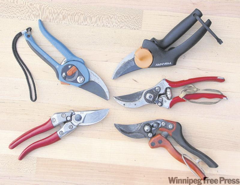 Popular shears (clockwise from left) Gardena (Blue), Fiskars, Felco, Bahco and ARS