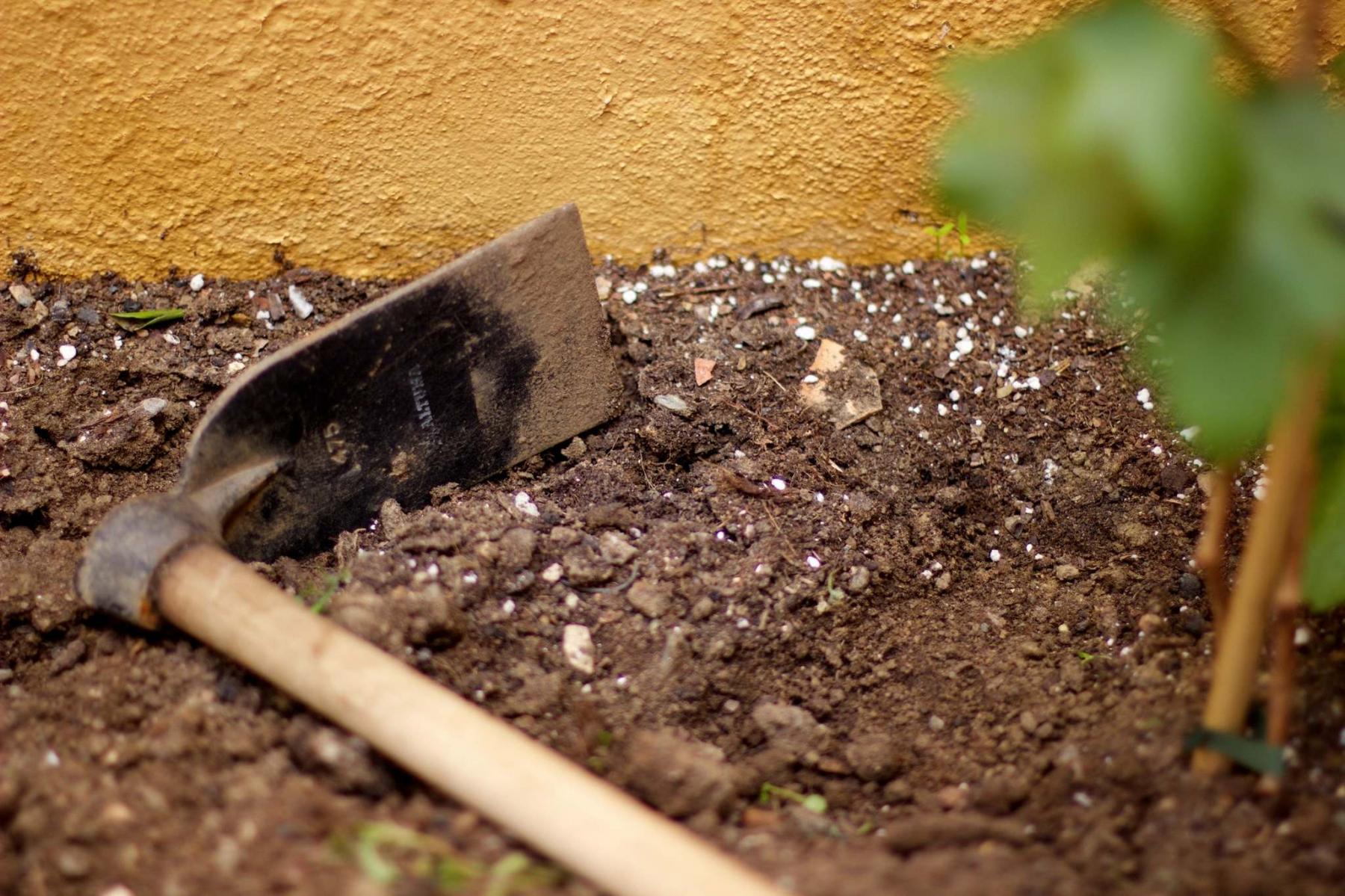 <p>Cultivate a new mindset: limit disturbance to your soil with less tilling and hoeing.</p></p></p>