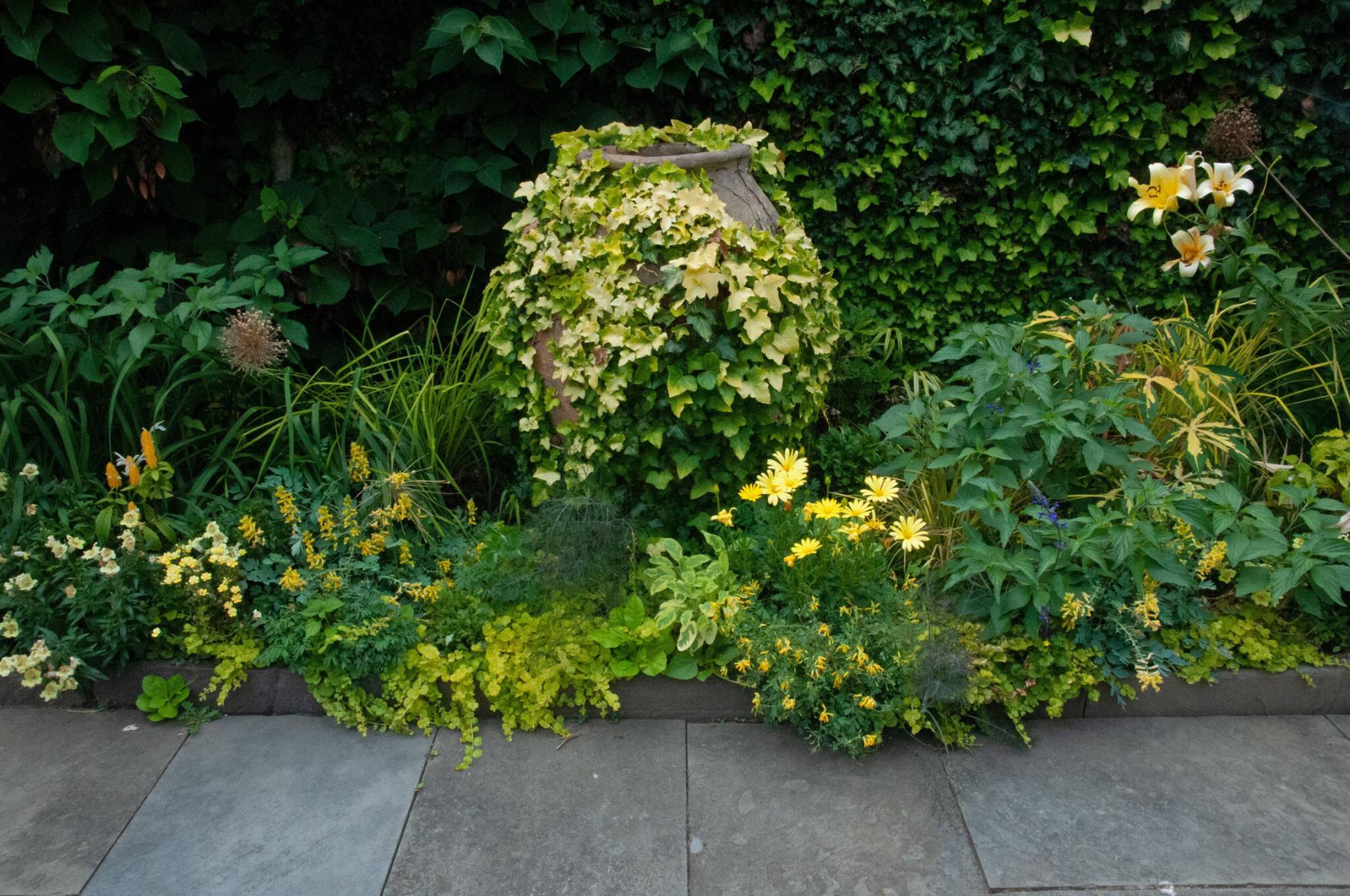  <p>The gold foliage of English Ivy spreads across an empty urn and is complemented by ground covers with yellow tints.</p>
                                <p>Photos by Gary Lewis</p>
                                <p>A mix of hardy sedum ground covers can be used between stones and pavers or planted along sidewalks.</p> 