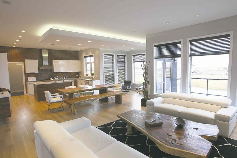 Sleek and stylish - Winnipeg Free Press Homes