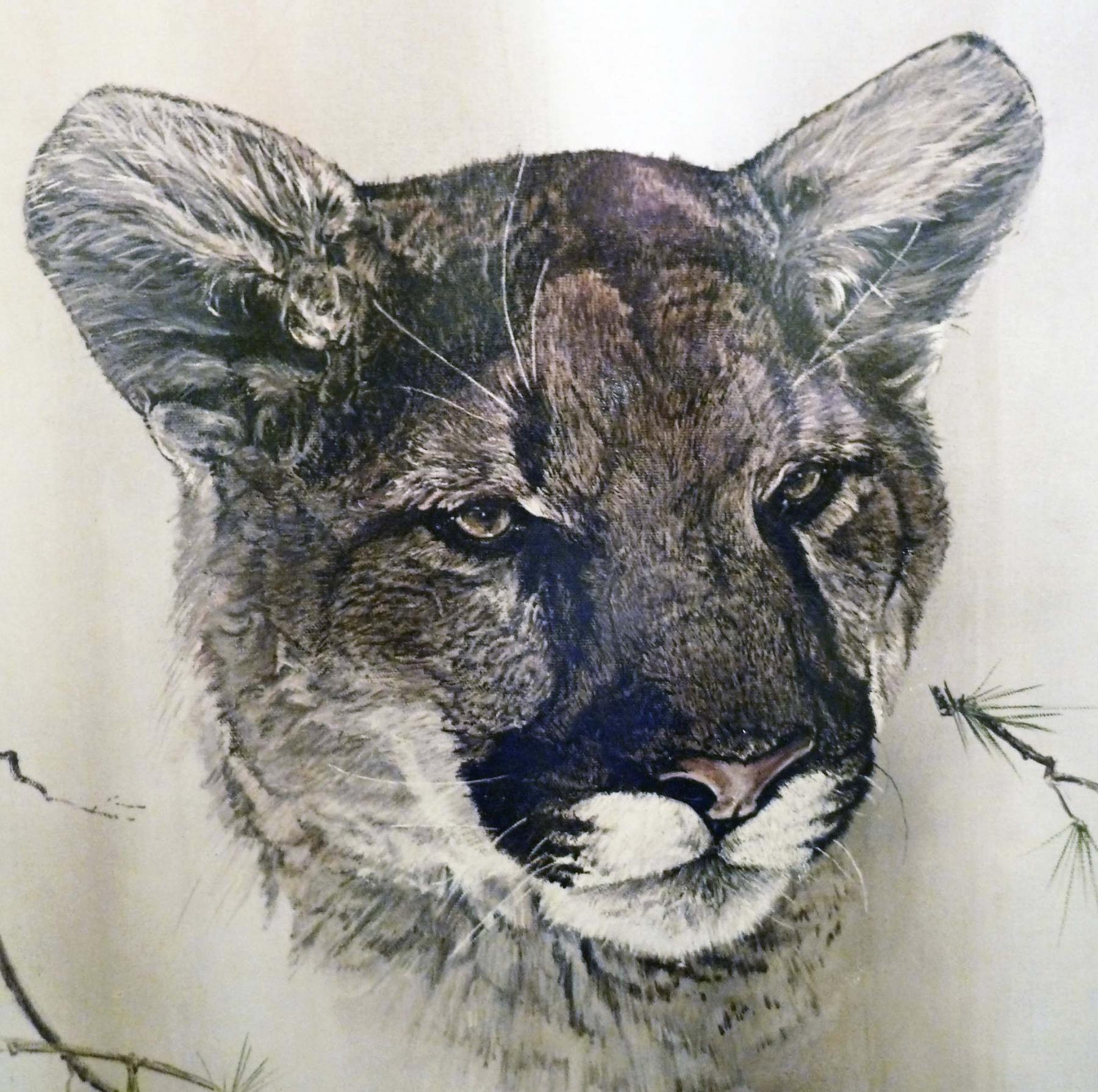 <p>Meow. This beautiful cougar was painted by renowned wildlife artist Phil Prentice. </p>