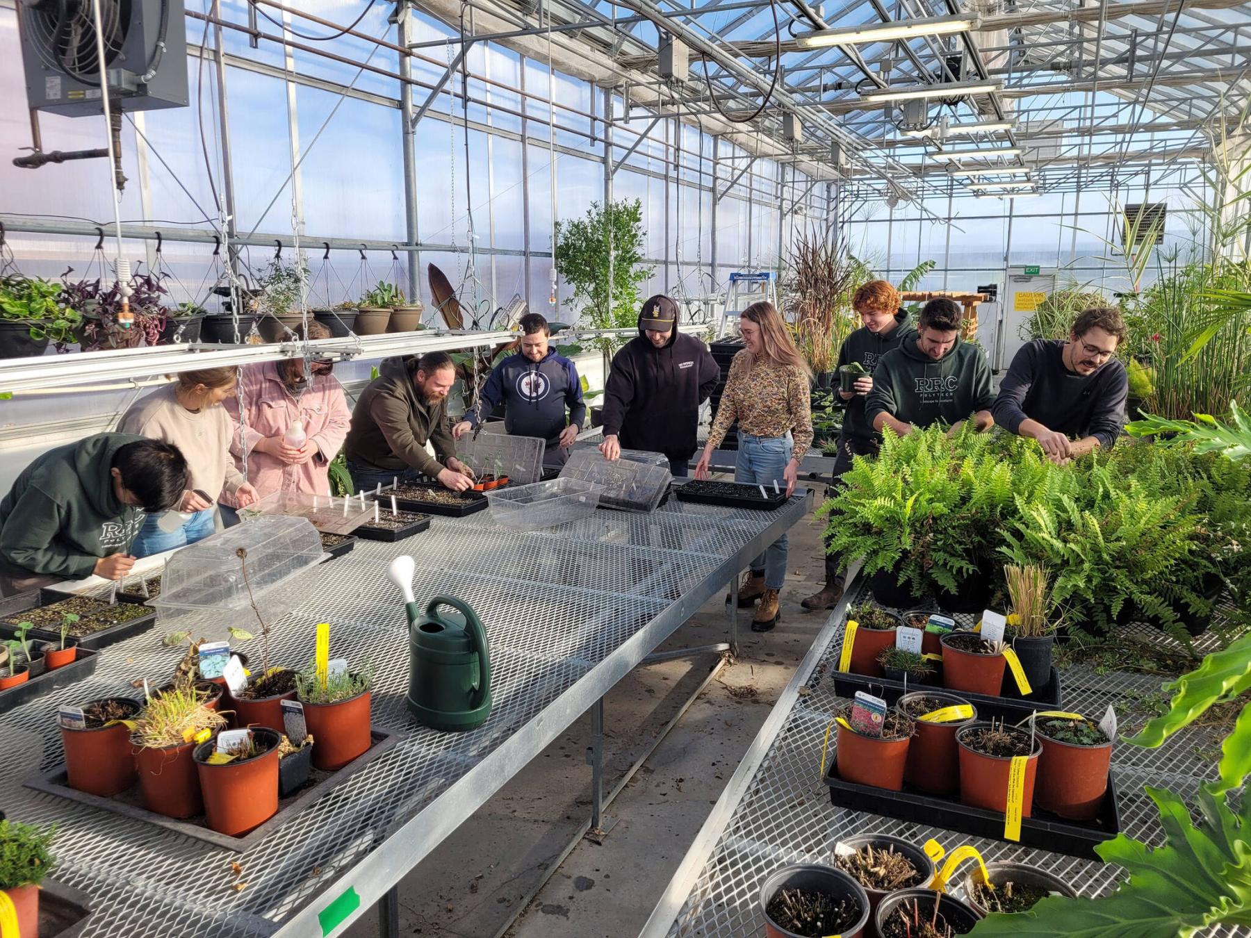  <p>Guy Dowhy photo</p>
                                <p>Landscape horticulturist students learn all about plants in a Red River College Polytech greenhouse.</p> 