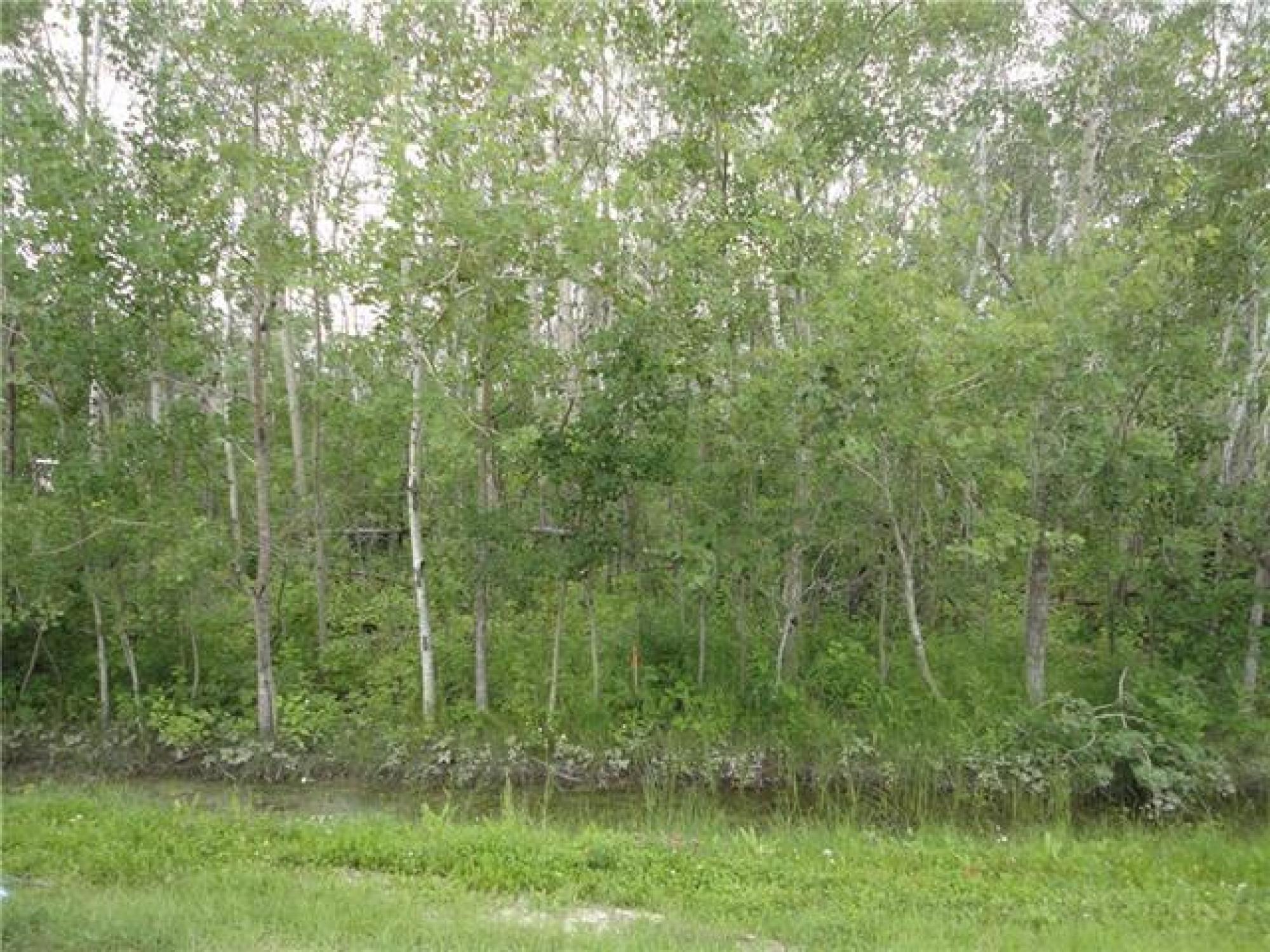 62 Palmer Place, R0C 2W0 for sale Rural Manitoba, Sandy Hook Golf