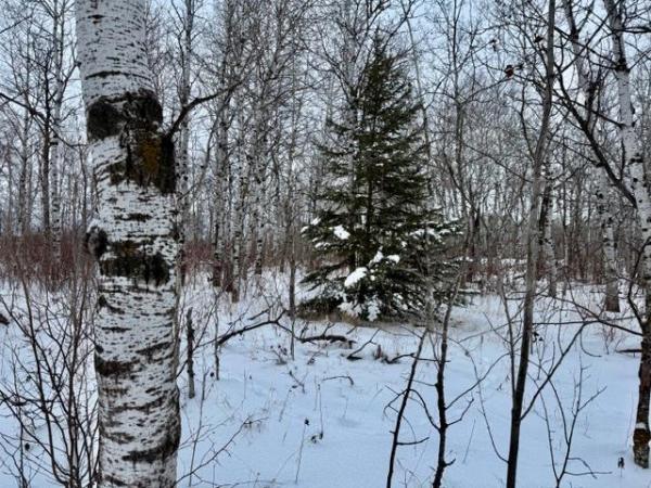 Home Photo - 18 Cameron Drive