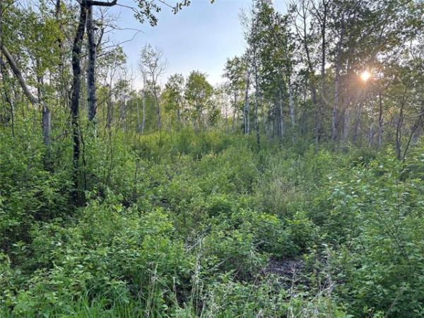 Home Photo - 7 Mildred Place