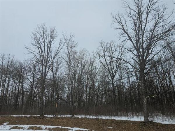 Home Photo - 57 Lilac Lane