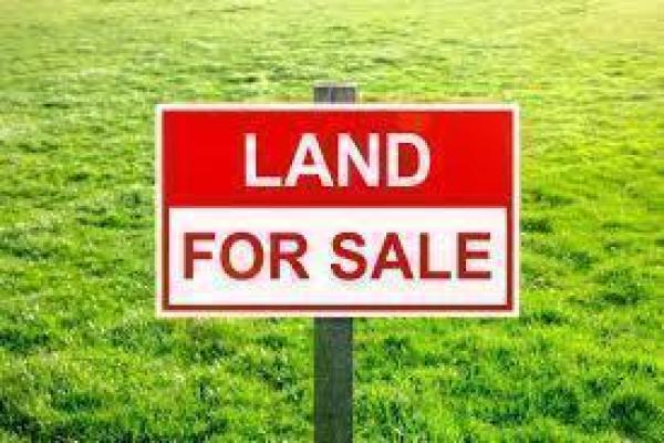 Home Photo - 564 Balmoral Street