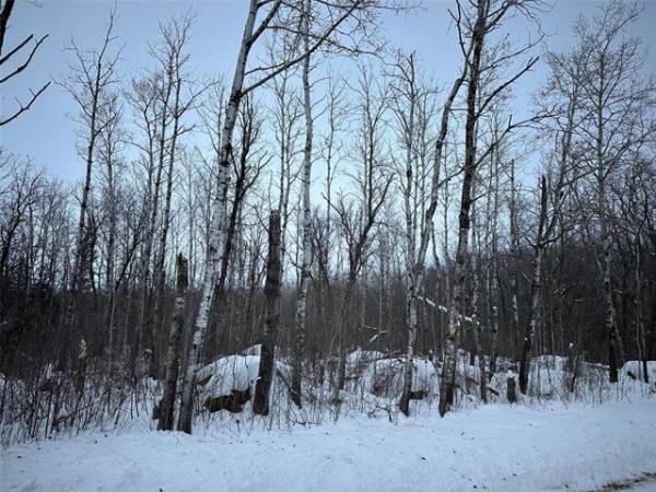 Home Photo - 1 Ironwood Point Road