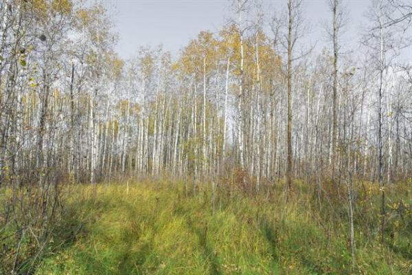 Home Photo - 46120 43E Road