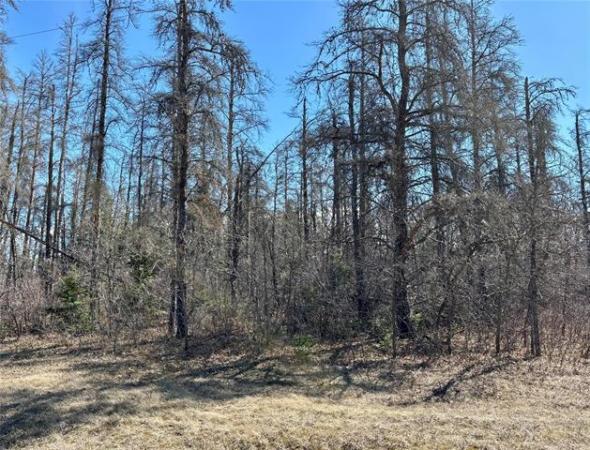 Home Photo - 110051 LAKESHORE Road