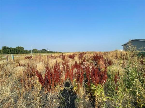 Home Photo - 38 Ash Bay