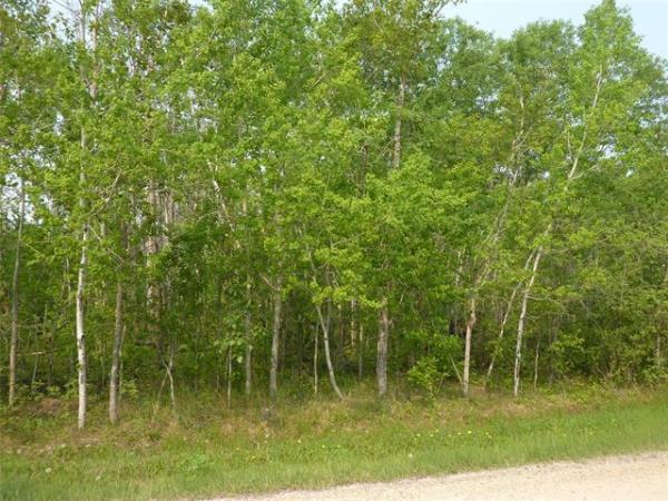 Home Photo - 62 PALMER Place