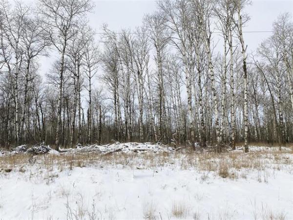 Home Photo - 93 Spence Street