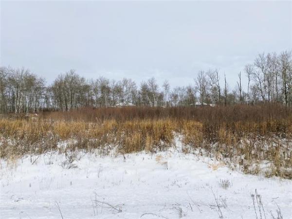 Home Photo - 29 Cyrus Lane