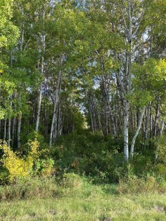 Home Photo - 0 Floodway Drive