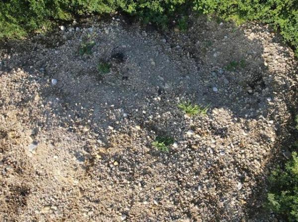 Home Photo - 0 37E Road