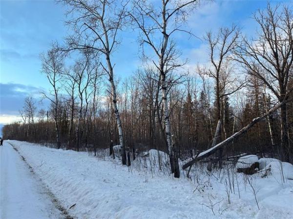 Home Photo - 5 Ironwood Point Road