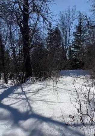 Home Photo - 55 Whitemouth Avenue