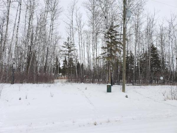 Home Photo - 102 MULBERRY Road