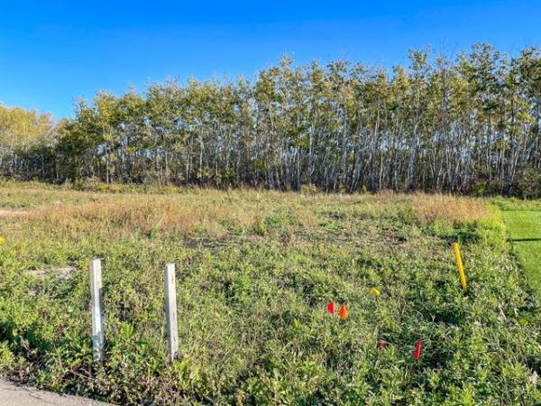 Home Photo - 1051 Vaughan Avenue