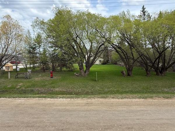 Home Photo - Lot-2 1st Avenue
