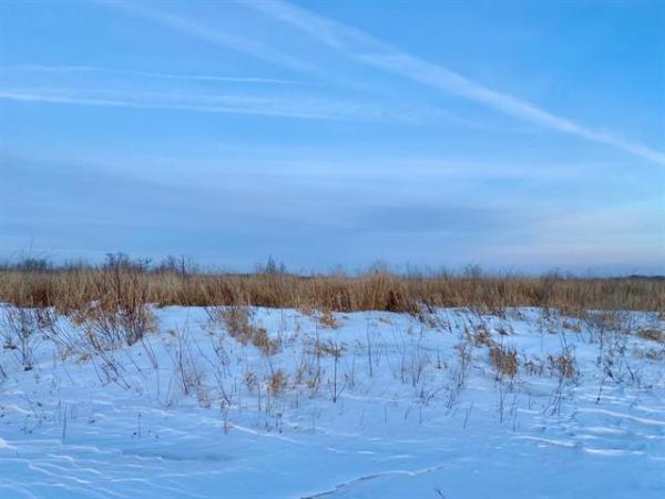 home photo - 19 Spence Street