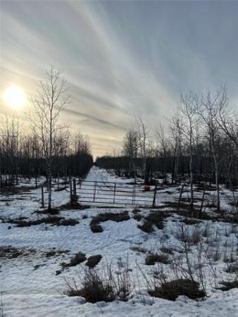 Home Photo - 10907 Municipal 42E Road Road