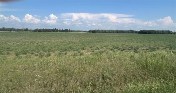 Home Photo - 0 20-13-2E NW 1/4 TWP13 Road