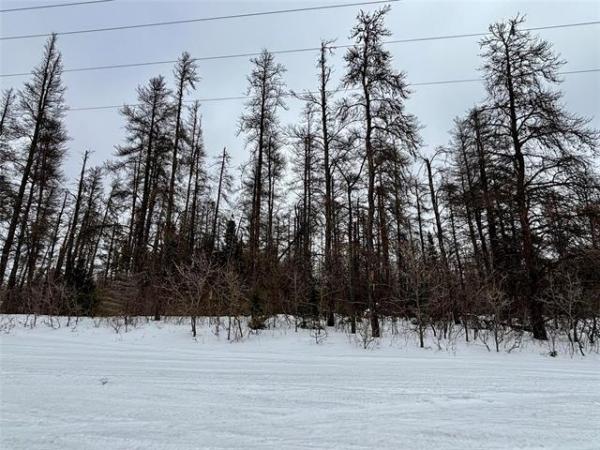 Home Photo - 110051 LAKESHORE Road