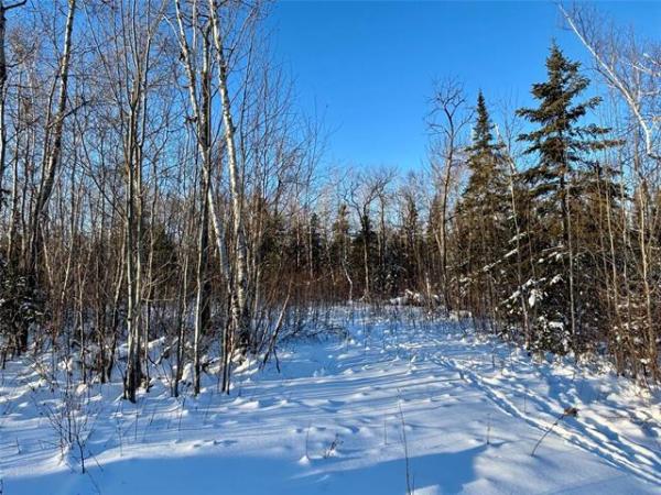 Home Photo - 23 Birch Haven