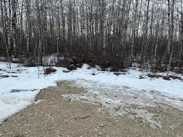 Home Photo - 46120 43E Road