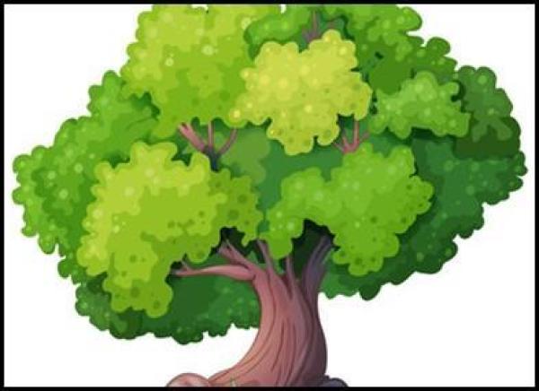 Home Photo - 124 RavenHill Drive