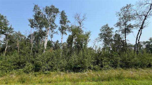 Home Photo - 0 Lilac Lane