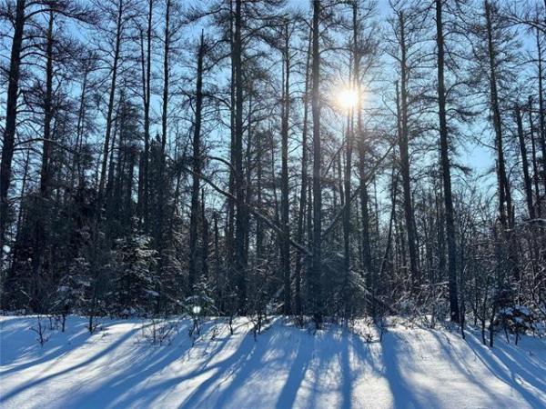 home photo - 110051 LAKESHORE Road