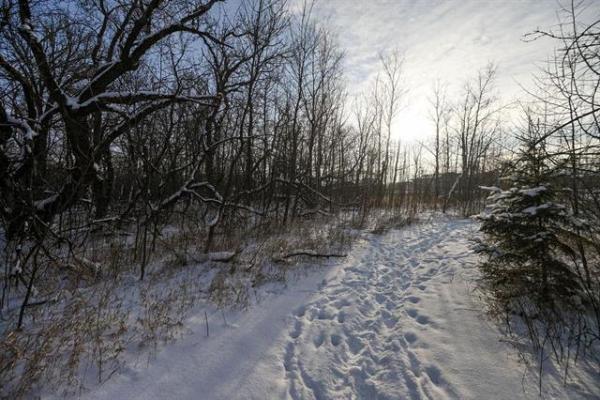 Home Photo - 0 River Road