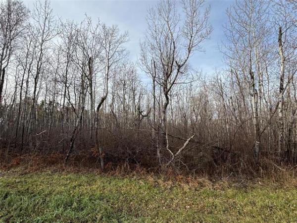 Home Photo - 22 PORCUPINE Trail