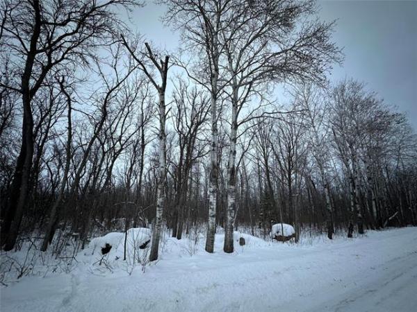 Home Photo - 6 Ironwood Point Road