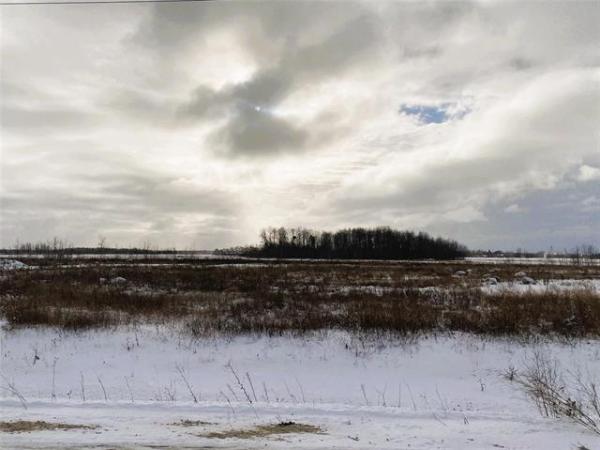 Home Photo - 161 Spence Street