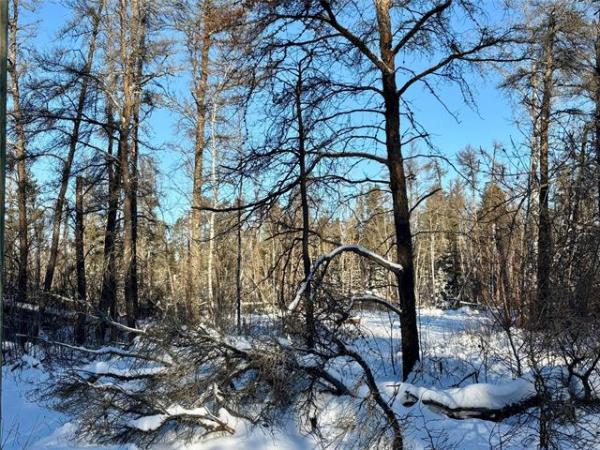 home photo - 37114 ZEBRUN Road