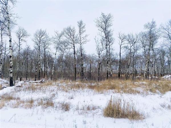 Home Photo - 22 Cyrus Lane